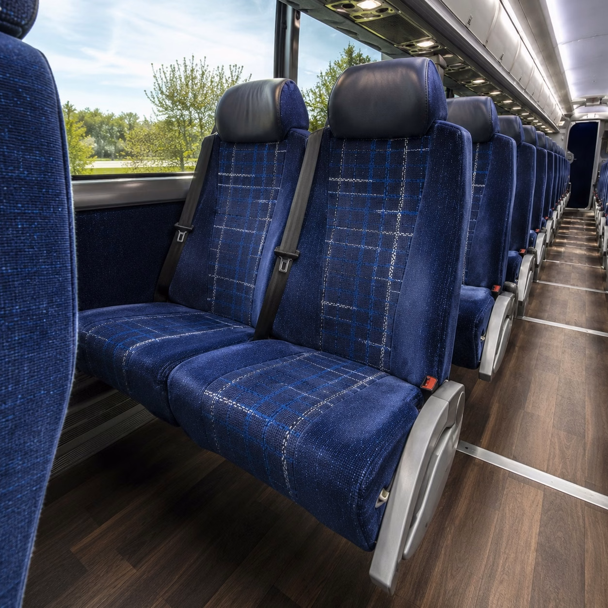 compare buses in minutes not days